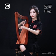 Walter Harp Introduction Irish Small Harp19String Portable Small Beginner Musical Instrument Chromat