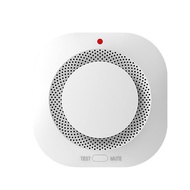 Home smoke alarm independent smoke detector