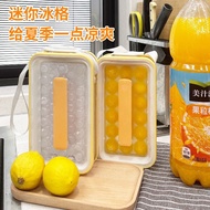 Sg SELLER Foldable Ice Tray Ice Pot Two-in-One Ice Ball Pot Ice Box Ice Cube Mold Ice Box Portable H