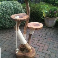 Cat Tree Mini Cat Tree