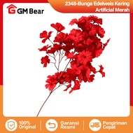 GM Bear Bunga Edelweis Artificial P0590 - Bunga Edelweis Imitasi Artificial Flowers