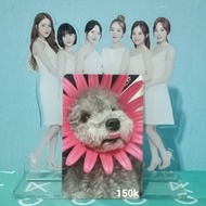 Official Photocard Zero Album Taeyeon Invu