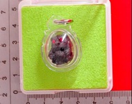 choi.2009泰國佛牌 屈班柏 老虎抱糖