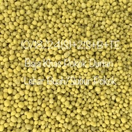 🔥BIG SALES🔥BAJA BERMUTU TINGGI BERLARUTAN AIR TINGGI KHAS POKOK DURIAN / BAJA BUAH BUAHAN