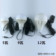 12V Dedicated LED Bulb DC5521 Connector Solar Photovoltaic Panel Power Generation System 12V Bulb