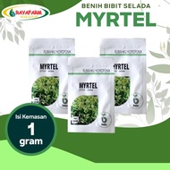Benih Bibit Selada Myrtel 1gr - Bejo Seed