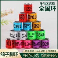 现货速发/信鸽足环2023年统一环内径8毫米高11毫米鸽环幼鸽期外国环中国环4.17 In-stock and ready to ship/2023 pigeon foot ring, standar