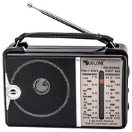 Doyoung FM/AM/SW1-2 Radio