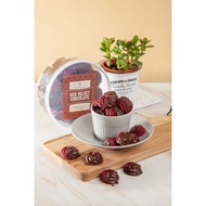 Havenbakes Red Velvet Chocolate Cookies