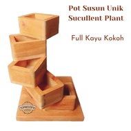 Pot Kaktus Sucullent - Tatakan Pot Unik Rak Susun Full Kayu Kokoh