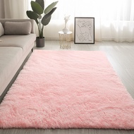 Fluffy Nordic Style Rug