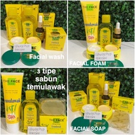 Cream TEMULAWAK THE FACE 5in1 Safe Already bpom