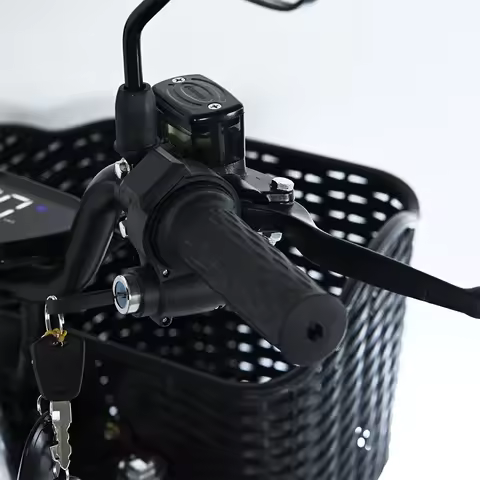 Clark is hot selling Electric Delivery Bike Popular Supplier 1000w 800w Electric Motor Bike Fast Ele