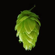 Imatton Bittering Aroma Yakima Chief Hops IDAHO 7 T90 Beer Brew