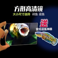 STOCK Flare READY Sticker Cermin Ikan Laga Training Luohan Betta Fish Perspective Mirror A33 Mla1