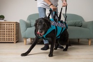 寵物輔助衣 一般款L號  高齡犬 行動不便 寵物輔具 協助上下行走