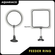 [AquariaCo] Aquarium Fish Feeder Ring (Bloodworm, Fish Feeder, Guppy, Discus Fish, Channa, Makanan Ikan, Ikan Laga)