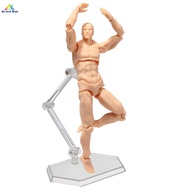 ABH 2.0 Body Kun Doll PVC Body-Chan DX Set Action Figure Model For SHF