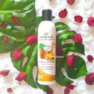 Shampoo Santan My Home Lab