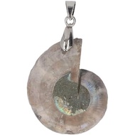 Haofy Ammonite Shell Pendant, Handcrafted Spiral Polished Natural Gemstone Bead Unique Ammonite  for