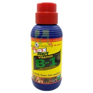 THAILAND MULTI EXTRA VITAMIN B1 1 LITER / 4 LITER AMINO ACID PENGGALAK AKAR B1