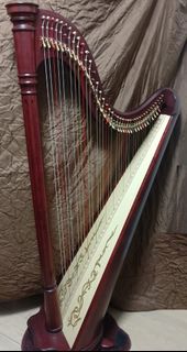 Salvi Ana Deluxe Harp 40弦豎琴