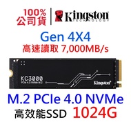 Kingston NVMe M.2 1TB 4.0 Gen4 SSD Solid State Drive SKC3000S/1024G KC3000