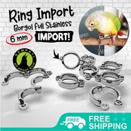 SEMPATI Ring Borgol Ring Kaki Burung 6 Mm 6mm Gelang Cincin Stainless Steel Import Training Latih Falk Parkit Lovebird Perkutut Conure Cockatiel Jalak RCG6MM