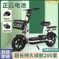 電動車新國標成人兩輪電動自行車小型電瓶車雙人男女代步車