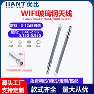 Dual Band 2.4G 5.8G Glass Steel Antenna WiFi Enhanced Signal Antenna 3-12dB External Base Station An