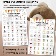 Pregnancy Water Bottle Tracker(Black), 1st Trimester Must Haves Gift for First Time Moms, with 2 Dif