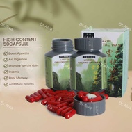 Dr.Alva Ling Zhi Vitamins pampataba for adult pampataba appetite weight gain stimulant pampalusog ch