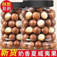 Hawaii Hazelnuts with Creamy Flavor Snacks 2 Pounds of Dry Fruits And Nuts Packaged in a Can for Lei