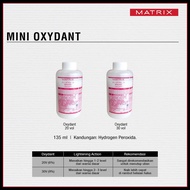 "RAYA" MATRIX Cream Developer 20 Vol 6% & 30 Vol 9% 135ml/