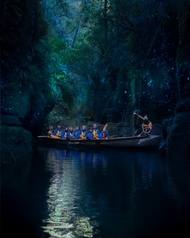 BIG Kanu Glowworm Tour in Tauranga
