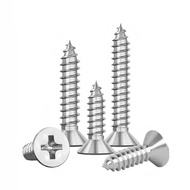((-304 Stainless Steel Self-Tapping Screw Phillips Countersunk Screw Extension Screw Flat Wood Screw