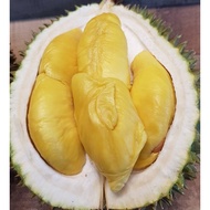 [PROMOSI] 100% Fresh Raub Musang King Durian Durian Pulp