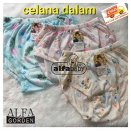 Women's panties, embroidered patterned panties,/ intana panties, women's panties,/ losinan panties, 