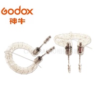 Camera Expert Godox QT600 Flash Tube Single Lamp Ring Outdoor Wedding Shooting QT600FT New Year