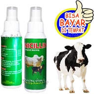 Obat Koreng Sapi Kambing Pinicilin Basmi Jamur Borok Eksim Gudix Semprot Pinicillin Spray