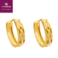 HABIB Oro Italia 916 Yellow Gold Earring GE71430720(10)