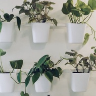 IKEA Container // Bekas Simpanan - Sunnersta