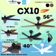 [FREE SHIPPING] Alpha New Model 2024 CX10 5B 56/40 Remote Control 12 Speeds With DC Motor