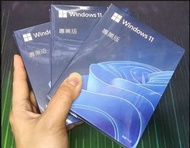 微軟windows10 windows11 pro 專業版 彩盒裝 繁體中文 USB手指安裝