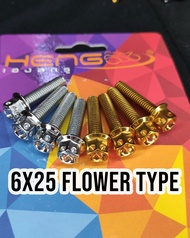 HENG Fan cover bolts /  Radiator Bolts ( sold per piece) GOLD / SILVER