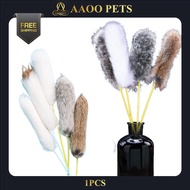Plastic Cat Teaser With Fur 1PCS Pet Kitten Cat Toys Feather Teaser Interactive Fur Teaser Cat Stick