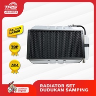 TRS Radiator Set Dudukan Kanan Kiri Pendingin Mesin Motor Roda Tiga Kaisar 250cc Jialing Spareparts 