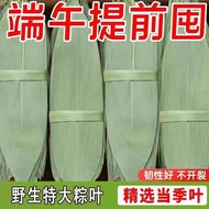 Extra Large Dumpling Leaves Good Toughness Dried Dumpling Leaves for Dumplings Special Dry Bamboo Le
