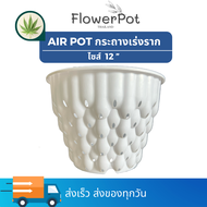 กระถาง Air Pot 15 นิ้ว 5แกลลอน ขายส่ง25ใบ กระถางแอร์พอท กระถางแอร์พอทสำเร็จรูป