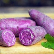 UBI KELEDEK PURPLE 1 KG